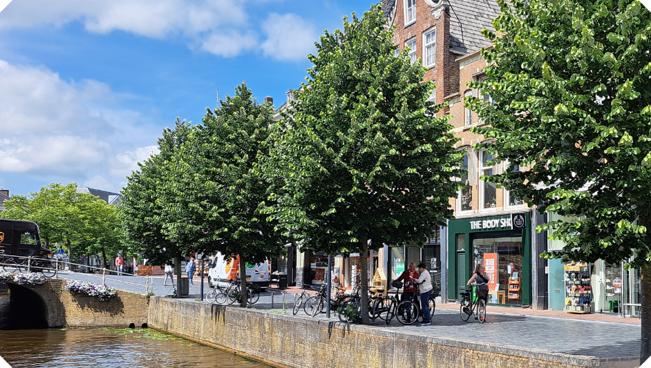 Home | HTW Treerootsystems