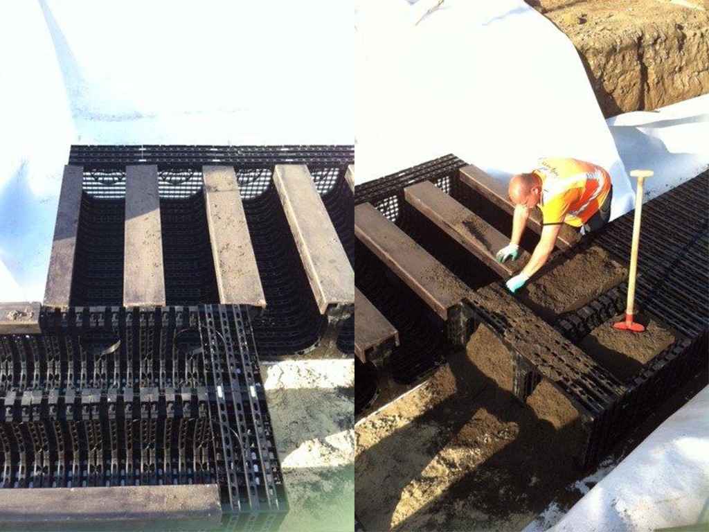 Hertogsingel Maastricht | HTW Treerootsystems