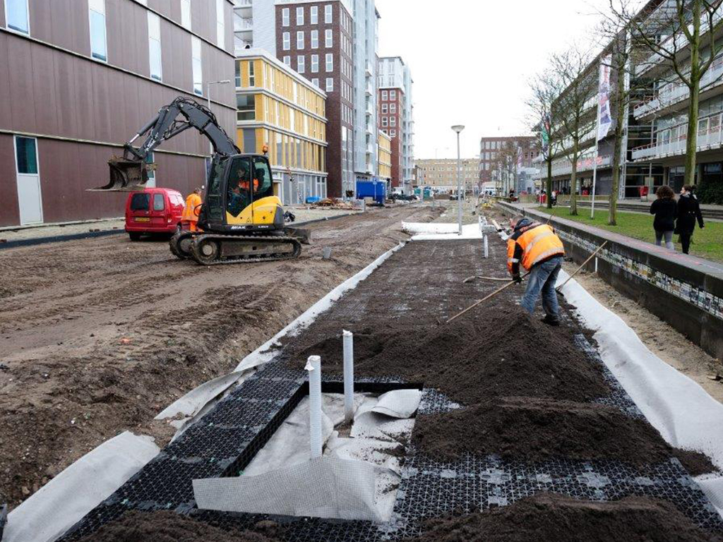 Home | HTW Treerootsystems