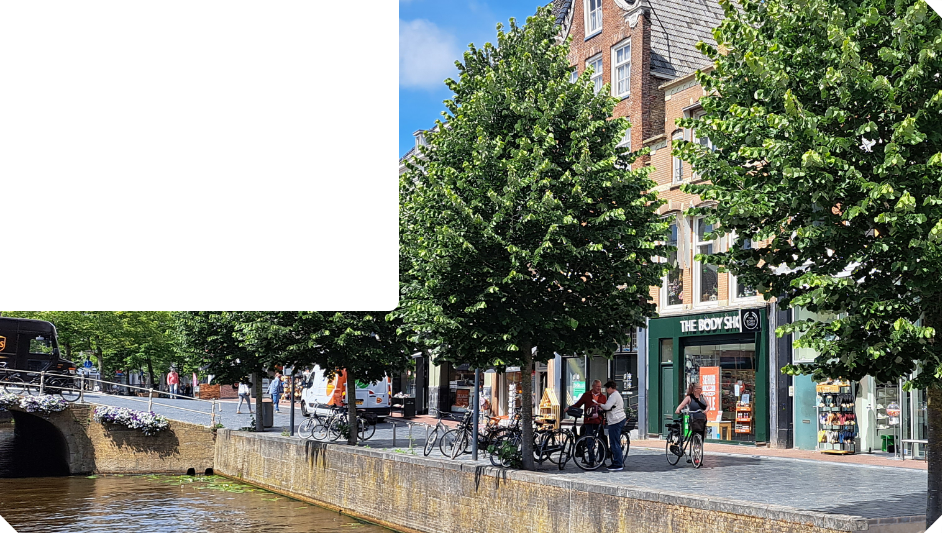 Home | HTW Treerootsystems