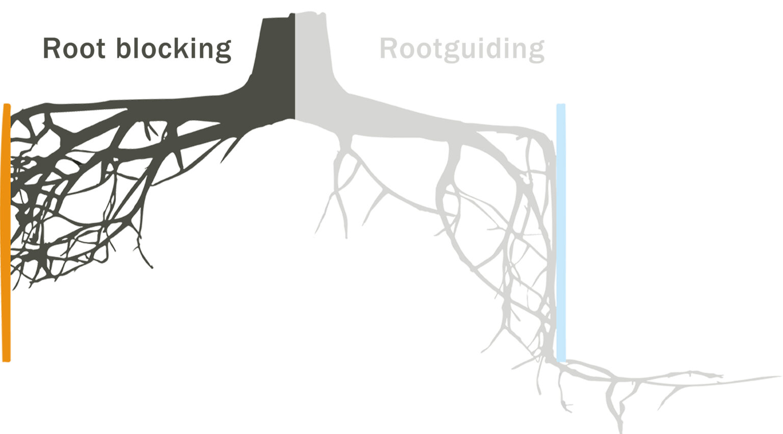 Root protection | HTW Treerootsystems