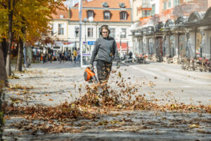 Home | HTW Treerootsystems