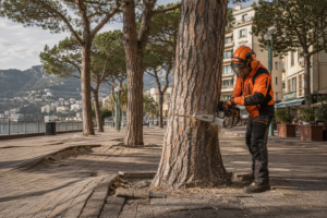 Home | HTW Treerootsystems